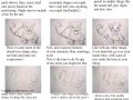 LionTutorial.jpg
